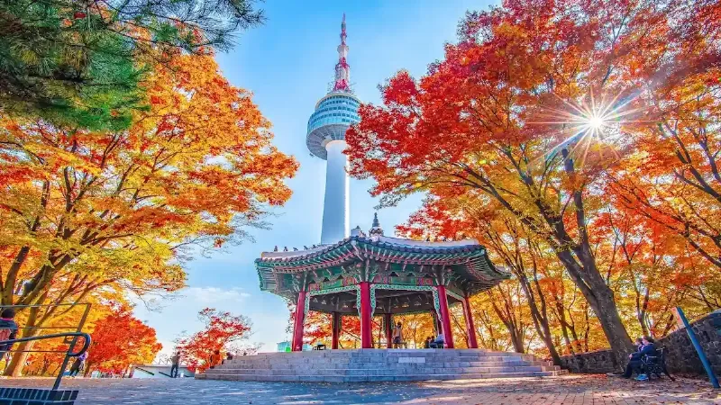 Hình ảnh sân bay quốc tế Incheon, điểm đến đầu tiên trong tour du lịch Hàn Quốc 4 ngày 3 đêm, hiện đại và nhộn nhịp